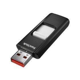 SanDisk Cruzer 32GB Flash Drive